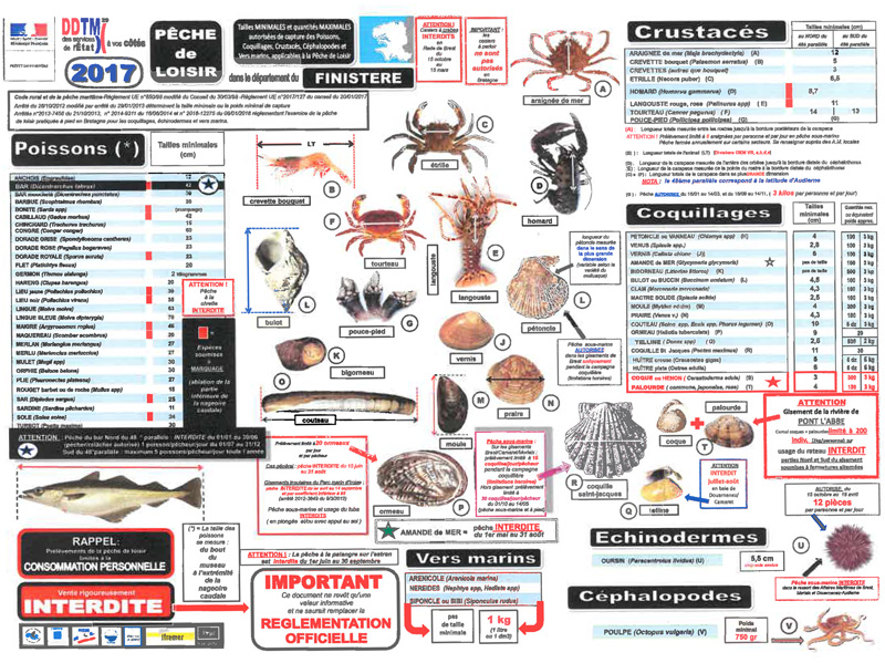 Peche de loisir tailles minimales